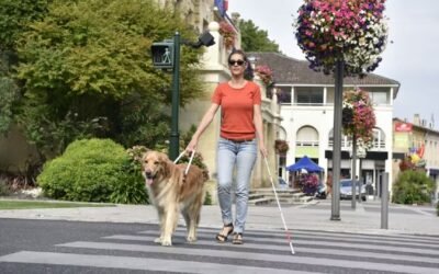 Blind People’s Life Insurance: What You Need to Know!